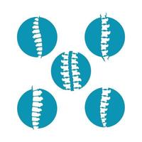 imágenes de la columna vertebral vector