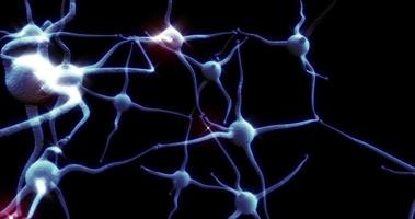 Blue Neuron synapse network with red electric impulse activity able to loop seamless video