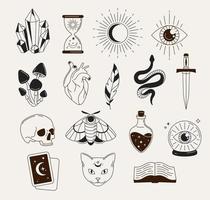 objetos y simbolos de brujeria vector