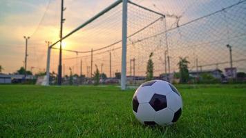 pallone da calcio sullo sfondo del campo di calcio video