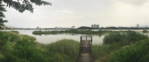 Panorama. The wooden pier overgrown with reeds on the lake of Sokcho city. South Korea photo
