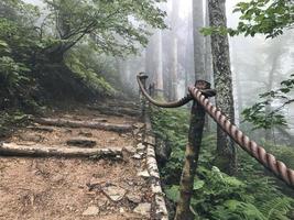 hermoso bosque de las montañas del cáucaso en la niebla. Rusia foto