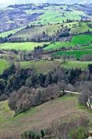 Green spring lush countryside photo