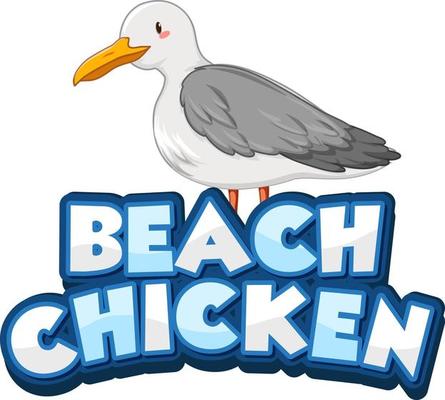 Seagull bird cartoon character with Beach Chicken font banner isolated