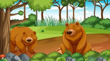 Grizzly bear or brown bear in forest or rainforest scene with trees vector