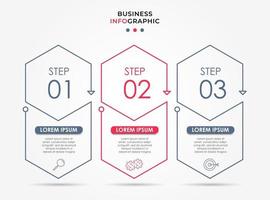 Infographic design business template with icons and 3 options or steps vector