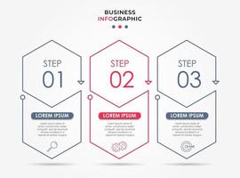 Infographic design business template with icons and 3 options or steps vector