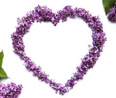 Marco de ramas y flores de color lila en forma de corazón. foto