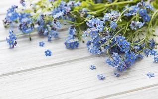 Forget-me-nots on white wooden background photo