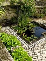 Pequeño estanque de piedra con plantas acuáticas, en un jardín en Portugal