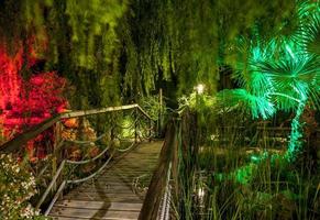 Iluminación de jardín con palmeras en Murcia, España foto