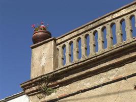 Geranium potted on top of a stone wall, Portugal photo