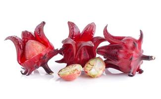 Roselle on white background photo