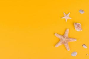 Glasses and hat with shells and sea stars on a colored background photo