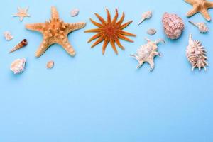 Glasses and hat with shells and sea stars on a colored background photo