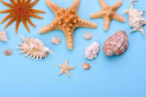 Glasses and hat with shells and sea stars on a colored background photo