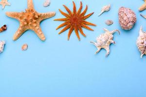 Glasses and hat with shells and sea stars on a colored background photo