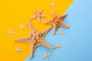 Glasses and hat with shells and sea stars on a colored background photo