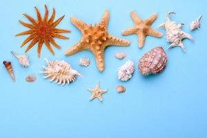 Glasses and hat with shells and sea stars on a colored background photo