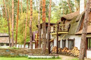 alquiler de vacaciones cabaña en el bosque cabaña en el campo junto al lago foto