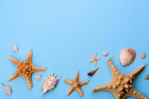 Glasses and hat with shells and sea stars on a colored background photo