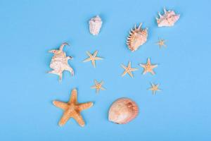 Glasses and hat with shells and sea stars on a colored background photo