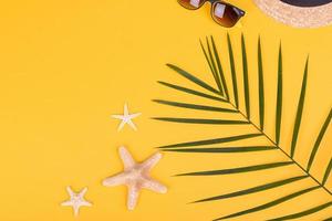 Glasses and hat with shells and sea stars on a colored background photo