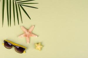 Fruit carambol, beach accessories and foliage of a tropical plant on colored paper photo