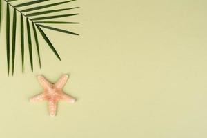 Fruit carambol, beach accessories and foliage of a tropical plant on colored paper photo