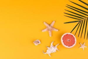 Beach accessories with shells and sea stars on a colored background photo