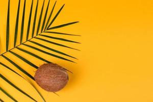 Beach accessories with shells and sea stars on a colored background photo