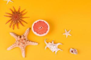 Beach accessories with shells and sea stars on a colored background photo