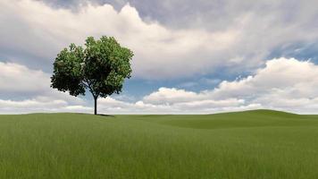 een boom of bewolkte lucht en groen gras video