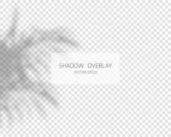 Shadow overlay effect. vector