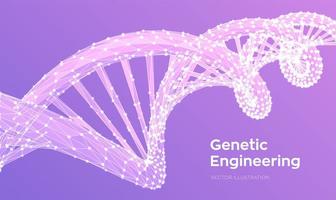 DNA sequence. Abstract 3d polygonal wireframe DNA molecules structure vector