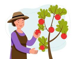 mujer con sombrero recoge manzanas de un árbol en el jardín. recogiendo frutas. vector