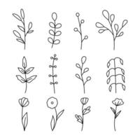 Collection of minimalistic simple floral elements. Flowers leaves. vector