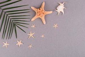 accesorios de playa, gafas y sombrero con conchas y estrellas de mar sobre un fondo de color. fondo de verano foto