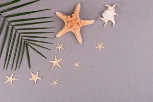 Beach accessories, glasses and hat with shells and sea stars on a colored background. Summer background photo