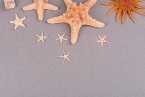 Beach accessories, glasses and hat with shells and sea stars on a colored background. Summer background photo
