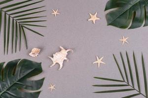 Beach accessories, glasses and hat with shells and sea stars on a colored background. Summer background photo