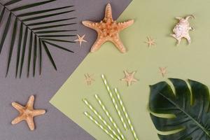 Beach accessories, glasses and hat with shells and sea stars on a colored background. Summer background photo