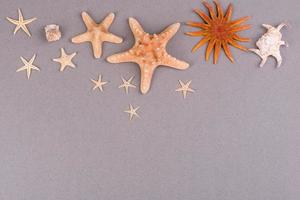 Beach accessories, glasses and hat with shells and sea stars on a colored background. Summer background photo