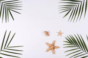 Beach accessories, glasses and hat with shells and sea stars on a colored background photo