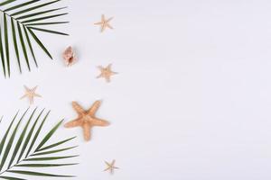 Beach accessories, glasses and hat with shells and sea stars on a colored background photo