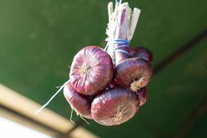 A bunch of red Yalta onions on a blurry background photo