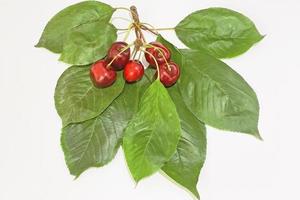 Cherry berries with green leaves on a white background