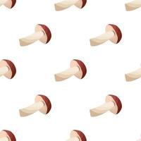Illustration on theme of bright pattern brown mushroom vector