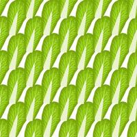 Simple colorful vegetable pattern from salad chinese cabbage vector
