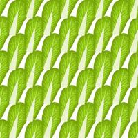 Simple colorful vegetable pattern from salad chinese cabbage vector